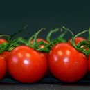 토마토 이미지