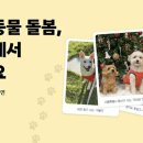 당근