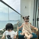 나트랑 여행 기록, 시타딘 나트랑베이에서 마지막날, 퍼푹롱 나트랑, 청안딤섬, CCCP카페, 반미판까지!