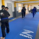 아트 주짓수 레슬링 이미지