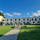 안나애견 이미지