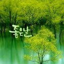 옥 천 이미지