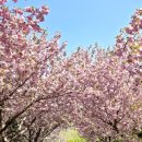 만수노인복지원 이미지