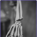 몸튼튼 근력 스트레칭 이미지