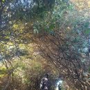 (주)태성토산 제주지점 | 제주올레길4코스 완주 ! (2021.11.27)