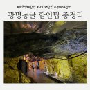 광명동굴 상생할인점 정리 및 후기 &amp; 주차팁