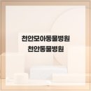 천안모아동물병원 | 반려동물의 건강을 최우선으로하는 천안모아동물병원 천안동물병원