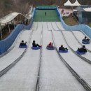 좌구산 썰매장 이미지