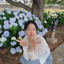 고현유치원 | [거제] 1박2일 거제 여행 코스 추천 : 원이의 고향을 찾아서..