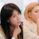 가비하우스