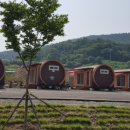 개랭이고들빼기마을 이미지