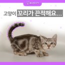 지성동물병원 이미지