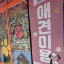 호텔아이 | 부천 상동 멍미텔 후기! 우리 아이 첫 강아지호텔 체험 리얼 리뷰