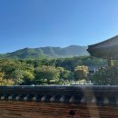 경도갈비 이미지