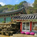 의령 백련암 목조보살좌상과 복장유물 이미지