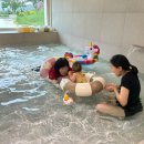 호화로이 | 청도 가족여행 자쿠지펜션 호화로이 경북 감성 독채 풀빌라 유아 물놀이