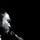 라피스게코 이미지