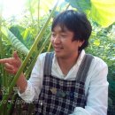 토란주인 이미지