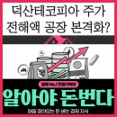 덕산종합건설(주) | 덕산테코피아 주가 전해액 공장 본격화되나 매출 구조 TOP 5
