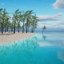 맥행정사 이미지