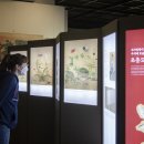 이화여자대학교 자연사박물관 이미지