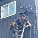 일산그레디 이미지