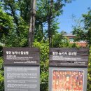 함안 능가사 칠성탱 이미지