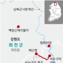 원시림 이미지