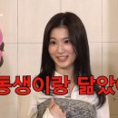 조나단 이미지
