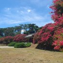 포충사 주차장 이미지