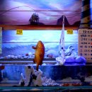 비진도해물뚝배기 - 서대문구 서소문로 53 | 비진도해물뚝배기