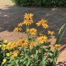 큰별유치원 이미지