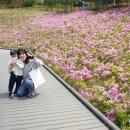 불암산 순환산책로 이미지