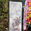 실로잇다