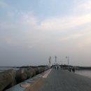 갯바람청과 | 2019.03 일상 : 다시, 봄