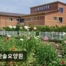 해찬솔 | [창원 요양원/추천/후기/가격] 해찬솔요양원 어르신 맞춤 생활 지원 중심지