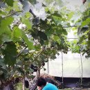 소라농장 이미지