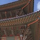 단청 Daum카페
