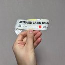 고약국 | 항공 유럽 (파리in 로마out) OZ501, OZ562 _ 기내식, 제공물품, 아시아나영화드라마, 충전 등 솔직후기