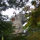 셀리공인중개사사무소 이미지