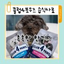 독산사 | 클럽4포우즈 강아지 습식 노견습식사료 급여 후기 ㅡ 건식과 함께 먹여본 변화
