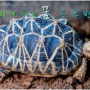 7월 시작하는 [느리게 가는 꿈 공부반] 안내 (10주, 비대면) 이미지