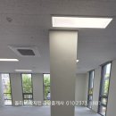블루정형외과의원 이미지