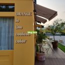 오렌지 칠(orange chill) 이미지