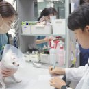 노아메디컬(주) 이미지