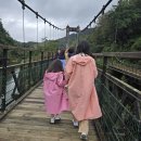 [대만여행] 예스폭진지 버스투어로 알차게 즐긴 북부 명소 하루 코스 후기 🌸✨