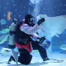 아쿠아리움 이미지