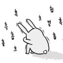 브리꼴라주 이미지
