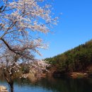 청계산오작교 | 청계산 산행후기_경기도 포천시_2022.04.16