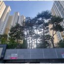 팔팔공인중개사사무소 이미지